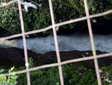 Pokhara 17 Seti River Plunges Underground On Its Way Beneath Pokhara From Singh Bridge